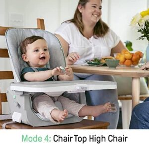 Ingenuity Beanstalk Baby to Big Kid 6-in-1 High Chair Converts from Soothing Infant Seat to Dining Booster Seat and more, Newborn to 5 Yrs - Ray - Image 7