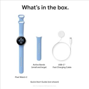 Google Pixel Watch 2 (Previous Model) with the Best of Fitbit - Heart Rate Tracking, Stress Management, Safety Features - Android Smartwatch - Champagne Gold Aluminum Case - Hazel Active Band - Wi-Fi - Image 12