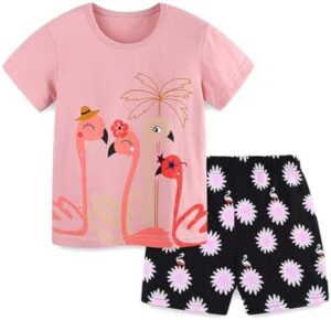 Girls Summer Outfits Toddler Girl Shorts Set Cotton Casual Short Sleeve Shirt and Shorts 2-7T