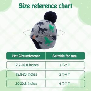 Duoyeree Kids Beanie Hat for Boys Girls Pom-pom Kint Hats Cozy Lining Winter Skull Cap - Image 6