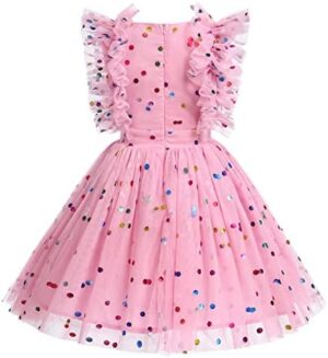 Girls Birthday Party Dress Butterfly Daisy Polka Dots Embroidery Princess Tulle Wedding Pageant Evening Gown - Image 3