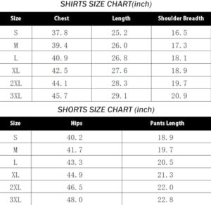 Mens Tracksuit Summer 2 Piece Outfits Short Sleeve T Shirt and Shorts Casual Sport Set - Image 4