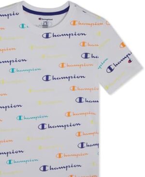 Champion Boys Shorts Sets 2 Piece Tee Shirt and Athletic Shorts for Kids - Image 4