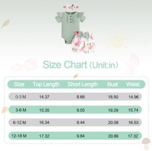 Baby Girl Clothes Newborn Infant Outfit Ruffle Romper and Short Pants Clothing Sets for Summer Spring - Image 8