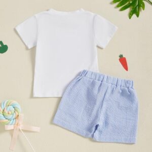 Toddler Boy Easter Outfit Baby Boy Bunny Short Sleeve T Shirt And Shorts Set 2 Piece Spring Summer Clothes - Image 4